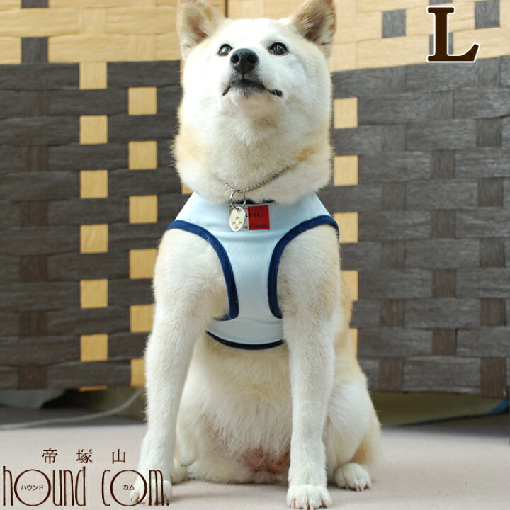 楽天市場 犬 ハーネス Ashu クーリングウェアハーネス L リードは別売り 中型犬 小型犬パグ クールベスト代わりになる 涼しいハーネス 夏の 犬ハーネス ペット用品 ドッグ おしゃれ 夏 散歩アッシュ 洋服の上から 帝塚山ハウンドカム 楽天市場店