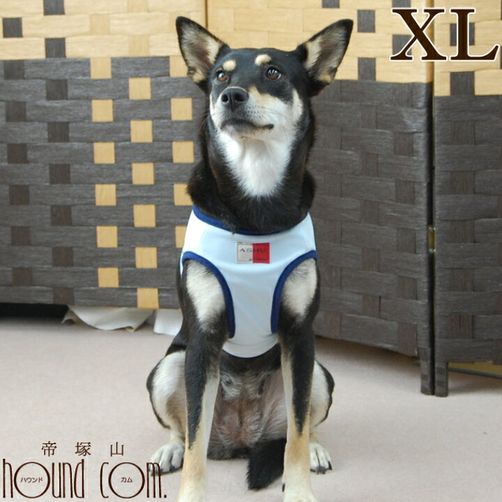 楽天市場 ハーネス 中型犬 Ashu クーリングウェアハーネス Xl リードは別売り ボーダーコリー 夏のお散歩におすすめのクール生地 ソフトで痛くないので老犬や喉の弱い犬にも安心 ウエアハーネス 犬ハーネス ドッグ 高齢犬 シニア ペット用品 いぬ アッシュ 洋服の上