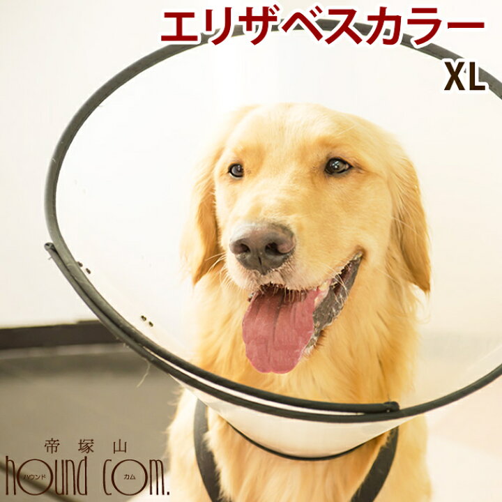 楽天市場 エリザベスカラー ベットカラー Xlサイズ犬 介護用品 エリザベスカラー 犬 介護 カラー 愛犬 犬用品 ワンコ エリザベス カラー ペット ドッグ 帝塚山ハウンドカム 楽天市場店