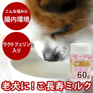 pTvg ~N 60g NgtF L pTvgh{⏕Hi p~NỹTvg  VjA pi hbOz