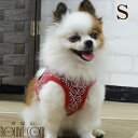 楽天市場 犬 首輪 ハーネス リード ハーフチョーク 帝塚山ハウンドカム 楽天市場店