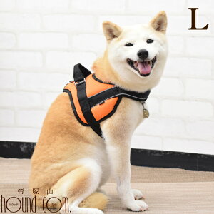 E^pn[lXbɗDNbVn[lX TCYLyNbV SȂ ɗD IW X|[c X|[eB S[f uh[ o[j[Y tbgR[e