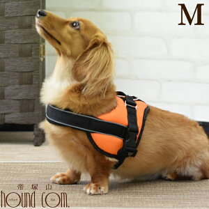 ^pn[lXbɗDNbVn[lX TCYMyNbV SȂ ɗDNbV SȂ ɗD IW X|[c X|[eB ViEU[ Wb