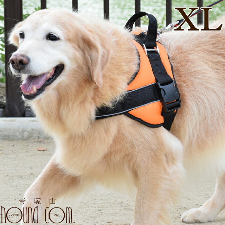 楽天市場 大型犬用ハーネス 首に優しいクッションハーネス サイズxl クッション 負担が少ない 首に優しい オレンジ スポーツ スポーティ アフガン コリー ゴールデンレトリバー G ピレニーズ セントバーナード バーニーズ アッシュ 服の上から 老犬 ハーネス 高齢
