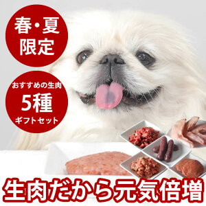 yP2{N[|zzztEČ p Zbg yⓀzHZbg nEG]ERǂHEECi[yⓀN[ցz n ybg  ˎRnEhJ