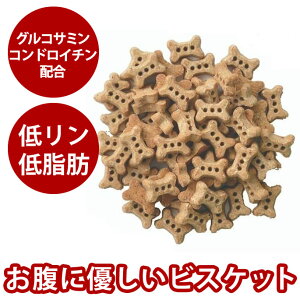 yN[|zzzi`n[xXg   voCIrXPbg ORT~ y჊zyᎉbz p Y NbL[Ԑڂ̌NێɃORT~ARh