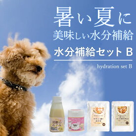 水分補給セットB　常温商品　愛犬　愛猫　暑い季節　水分不足　水分　栄養　トッピング　食いつき　シニア　子犬　ごはんに　手作り食
