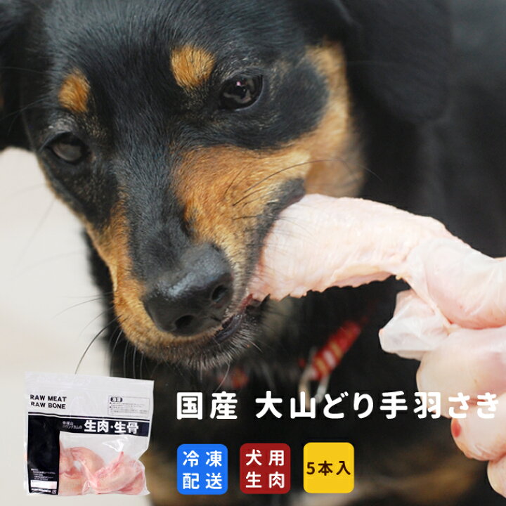楽天市場 国産 大山どり手羽さき ５本入り 手羽先 犬 手作り食 歯磨き はみがき 犬用 酵素 ドッグフード 生食デンタルケア 生肉 歯みがき 冷凍 無添加 犬の 犬のフード生肉 鶏肉 犬生肉 高齢犬 シニア 帝塚山ハウンドカム 楽天市場店