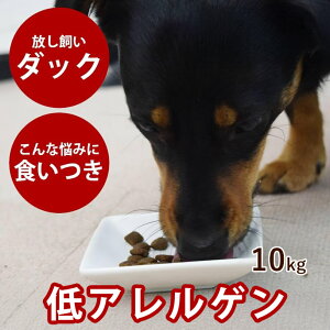 yN[|zzzAATUiA[gD[j hbO _bN 10kg OCt[ sgp  ORT~ RhC` _ۓ ֐߃PA@hbOt[h@hCt[h@p2025