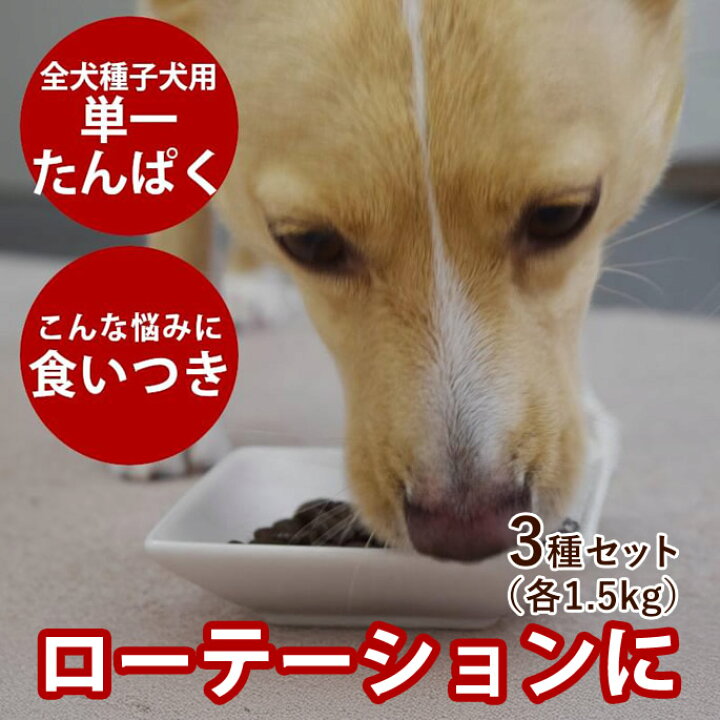 楽天市場 tu アートゥー ドッグフード ローテーションセット チキン ダック サーモン ニシン各1 5kg 高齢犬 シニア ドッグフード 食いつき 良い おすすめ 食いつき抜群 の いい 餌 トッピング 帝塚山ハウンドカム 楽天市場店