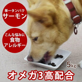 AATU（アートゥー） サーモン ドッグ 5kg グルコサミン コンドロイチン 乳酸菌配合 グレインフリー 穀物不使用【ごはん イヌ 】 ドッグフード　ドライフード　犬用※2025年10月以降順次リニューアル