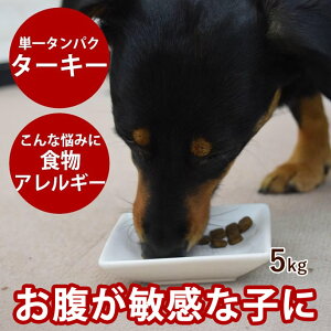 yP2{N[|zzzAATU hbO ^[L[ 5kg p hCt[h h{H hbOt[h hCt[h Y sgp OCt[ A[gD[@񂹂̂߂͂