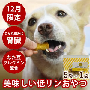 yP2{N[|zzzy12z ڂ̐tPArXP\tg60g 5܃Zbg+1܃v[g Y@S@g[c@჊Őtɔzꂽ@J{`@