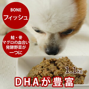   Y hbOt[h {[ BONE tBbV  1.1kg yⓀzH [t[h ؓ yf _  q̗H V̗H    VjA ⓀLbgt[h