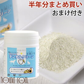 【P2倍＆割引クーポン配布中】デンタルクリーン 半年分まとめ買いセール