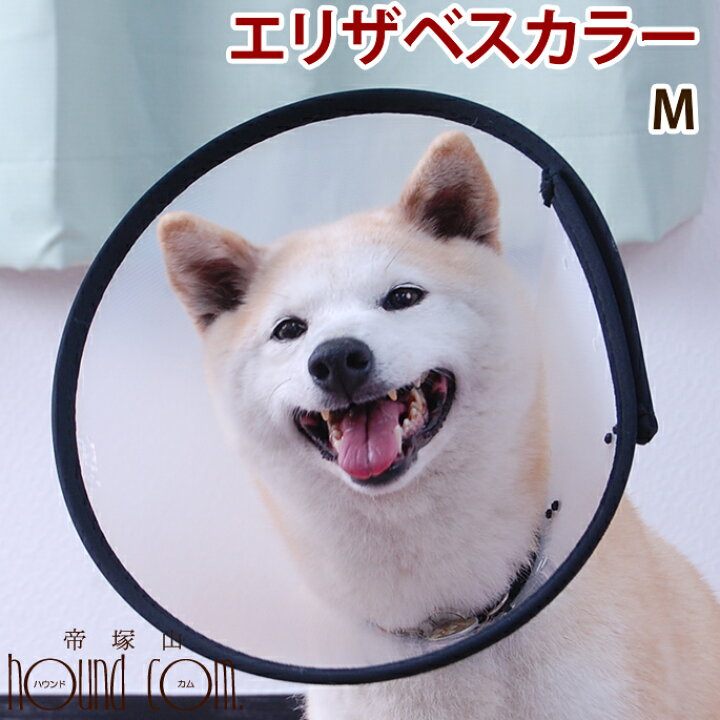 楽天市場 エリザベスカラーベットカラー Mサイズ犬 手術後のアフターケア 傷を舐めない防止 首輪 帝塚山ハウンドカム 楽天市場店