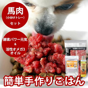 yP2{N[|zzzyⓀł͂zpLp ȒPH ñZbg /   育͂ n t[h IK3IC y؃pE_[