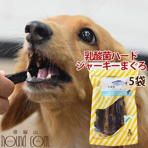 犬 おやつ 無添加 デンタル 乳酸菌ハードジャーキーまぐろ 80g( 5袋セット ) 硬め 魚 噛める ヘルシー 小型犬 中型犬 大型犬 プレバイオティクス フェカリス菌 鶏肉アレルギーの愛犬に