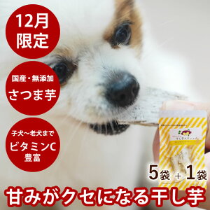 yN[|zzzy12zY  XeBbN 5+1܃Zbg Y ܂ S̒J[