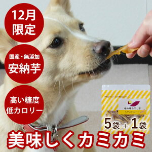 yN[|zzzy12z݊݊ 5܃Zbg+1܃v[g  ybgpyybgt[h t[h  Mtg  ق  C Y Yz