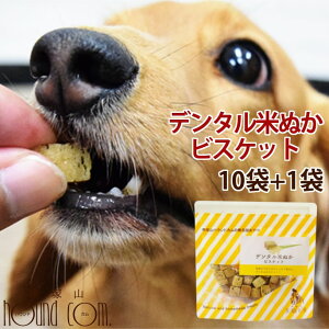 クッキー 粉 ペットの人気商品 通販 価格比較 価格 Com クッキー 粉 ペットの人気商品 通販 価格比較 価格 Com