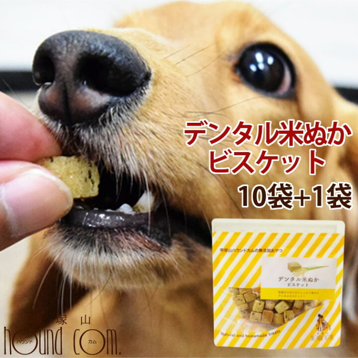 楽天市場 犬用おやつ デンタル米ぬかビスケット60g 10袋セット 1袋 素朴な犬おやつ 米粉 犬用クッキー 犬用ビスケット 硬いおやつ デンタル クッキー 米ぬかおやつ 噛むおやつ 子犬から老犬まで安心のおやつ セサミン クリスマス お菓子 帝塚山ハウンドカム 楽天市場店