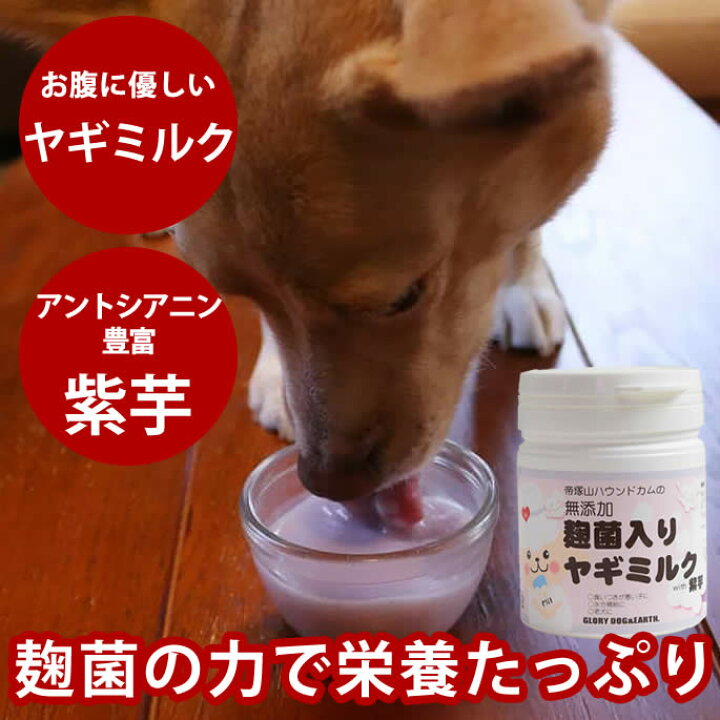 楽天市場 犬猫用 麹菌入りヤギミルクwith紫芋 食物繊維 ビタミン カルシウム 栄養たっぷり 甘酒に使う米麹 米麹 麹菌 みるく いぬ 犬用 食いつき 手作り食 帝塚山ハウンドカム 楽天市場店