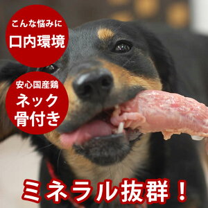 yP2{N[|zzz^ Y {̃lbNt3{ yⓀzKɃhbOt[h ݂͂y̎zp ̂ ̃K ybg  