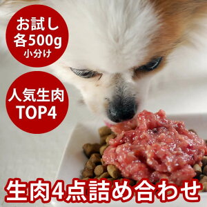 lClߍ킹ZbgyⓀz[ȒPH]t[h n G] { `L  VjA t[h V q  yf  ybg [t[h ~` Lp pn p 