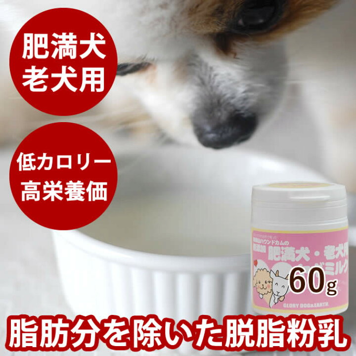 楽天市場 老犬用 おやつ 肥満犬老犬用ヤギミルク 60g 低脂肪 無添加やぎミルク ヤギミルク 山羊ミルク 牛乳 低カロリー シニア 子犬 ペットフード パウダー 介護食 流動食 高齢猫 犬用 老犬介護 犬用おやつ ペットの牛乳 シニア 痩せたい愛犬にカロリー控えめの