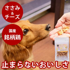 p@݂`@60g Y Y W[L[ { `[Y  TT~@Lp ȒP   gbsO `[Ygp@H ǂ