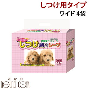 yN[|zzzybgV[c gĈpybgV[cyChTCY176 127.87~(Ŕ)z ybgV[g  gC