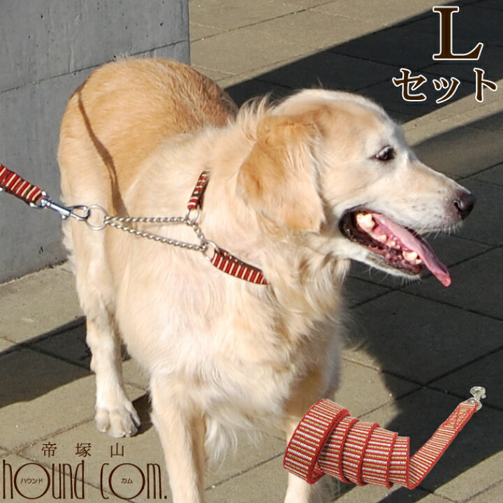 楽天市場】ハーフチョーク 大型犬 ASHU ステップ リードセットL 