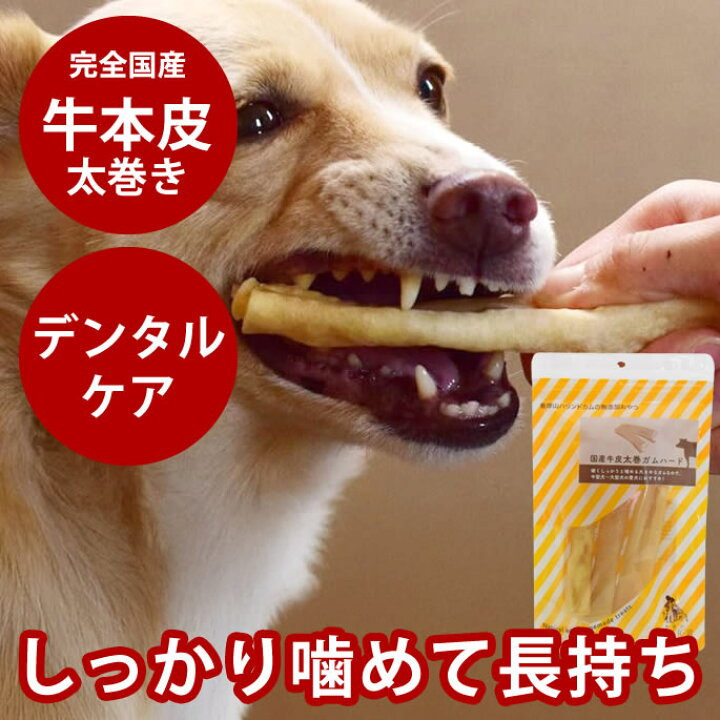 楽天市場 愛犬用ガム 国産牛皮太巻きガムハード 牛皮 ガム デンタルトリーツ 犬用歯磨きガム 硬めガム おやつ デンタルガム 食いつき抜群 牛皮ガム 安心無添加 噛むおやつ 帝塚山ハウンドカム 楽天市場店