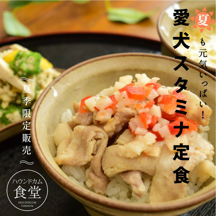 エゾ鹿肉と野菜の混ぜる手作りセット ハウンドカム食堂 手作りご飯 トッピング 手作りご飯用野菜 犬用野菜 犬 鹿肉