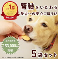 オリジナルクッキー 腎ケアプラス 犬 80g（ 5袋セット ）なた豆 クルクミン配合 国産おやつ トリーツ 犬…