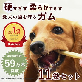 【割引クーポン配布中】犬用おやつ｜なた豆ライスガムソフト 10袋セット+1袋(1袋15本入) デンタルトリーツ　犬用歯磨きガム　柔らかめガム 子犬 老犬 おやつ デンタルガム　食いつき抜群 牛皮ガム 低カロリー 安心 噛むおやつ チキンアレルギーの愛犬に