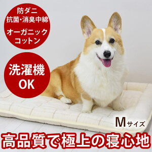 Lp V[DEBhy 2wv~AEHbVu}bg MTCY { Y ^ ^ _炩  }bgX I[KjbNRbg R[M[ Č rVt