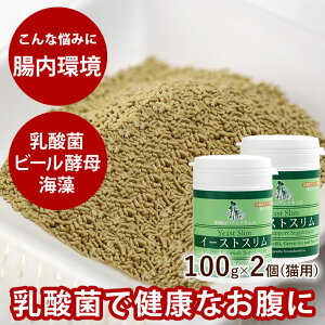 yP2{N[|zzzy܂tz2Zbg(100g×2) ybgpTvg C[XgX v[gt tFJX _ yf C r[y Lp