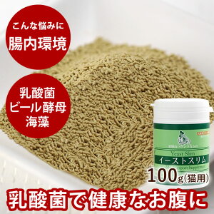 yP2{N[|zzzLp 50 _ Tvg C[XgX 100g LpTv eLVL܂Ł@Lp@̌NێɁ@r[y@r^~BQ