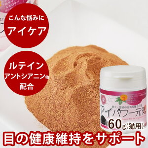 yN[|zzzACp[C Lp 60g /ڂ eC AgVAj V  Lp p  ˂p lR ACPA r^~C OXmLGLX  ӂ肩 