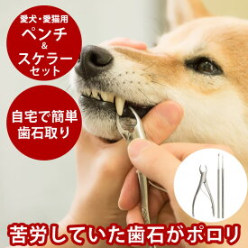 愛犬・愛猫歯石取りペンチとスケラーセット 犬 歯磨き デンタルケア 歯石取りペット用品 歯石除去 犬の歯石とり スケラー 器具 犬歯石 トリミング用品 犬の歯石取りグッズ スケーラー デンタル ケア