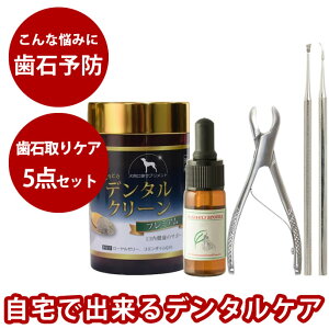 pΎPA5_v~AZbg@XP[[ y`@ f^PA Ύ CɂȂ鎕C⎕Ώ p ݂͂   Ƃ C    