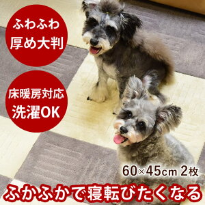 ӂӂ@^CJ[ybg@s^vX@60×45cm@2  ^C}bg@ybgp}bg@L@t[O@p@Lp@Ȃ@J[ybg 􂦂 |@łȂ