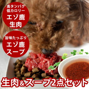 pLp G]̐X[vZbg / G]~`1kgƃX[v100g×5 yⓀz @  ybg  ˎRnEhJyVsX pn  hbO  VjA