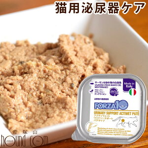 yN[|zzzLp@FORZA10@ANeBEFbg Ei[ T[nC̔giAj100g×12ʃZbg pe^Cv@Lbgt[h@XgoCgAΑΉ@VE_