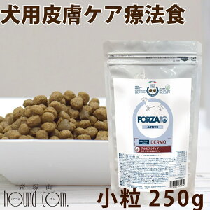 yN[|zzz FORZA10 Ö@Hbp fANeBu(畆PA) 250gi~j jtHc@10 畆уPAÖ@H@HÖ@H tHc@fBG`@p@Y@hbNt[h@