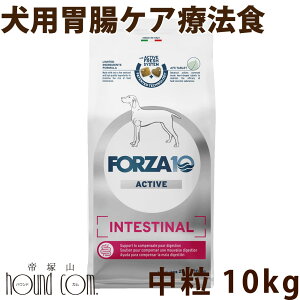yN[|zzz FORZA10 Ö@Hbp CeXeBiANeBu(ݒPA) 10kgi~fBA jtHc@10 ݒPAÖ@H@HÖ@H tHc@fBG`@p@Y@h
