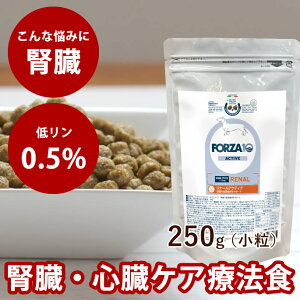 yN[|zzz FORZA10 Ö@Hbp i[ANeBu(tPA) 250gi~j j
