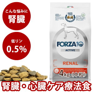 yN[|zzz FORZA10 Ö@Hbp i[ANeBu(tPA) 4kgi~fBA j